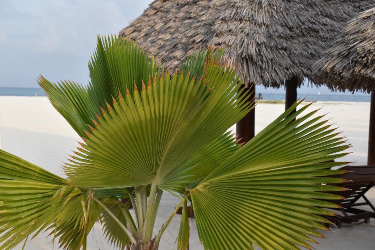 Kendwa Beach Resort 외부 사진
