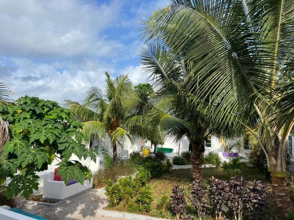 Kendwa Beach Resort 외부 사진